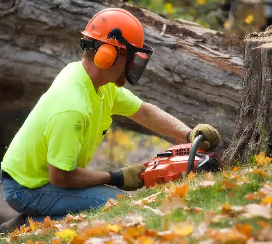 tree services Red Cross